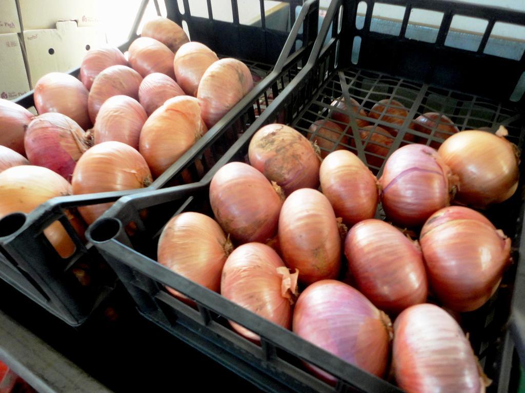 Tenuta Montelaura Forino Zewnętrze zdjęcie