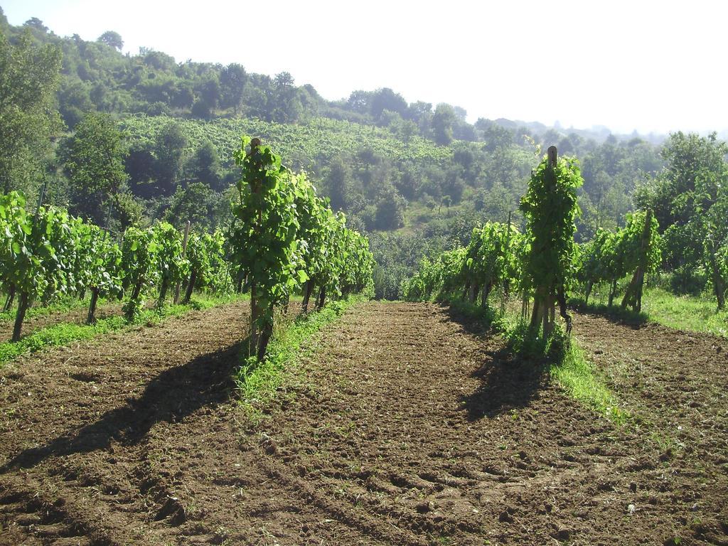 Tenuta Montelaura Forino Zewnętrze zdjęcie