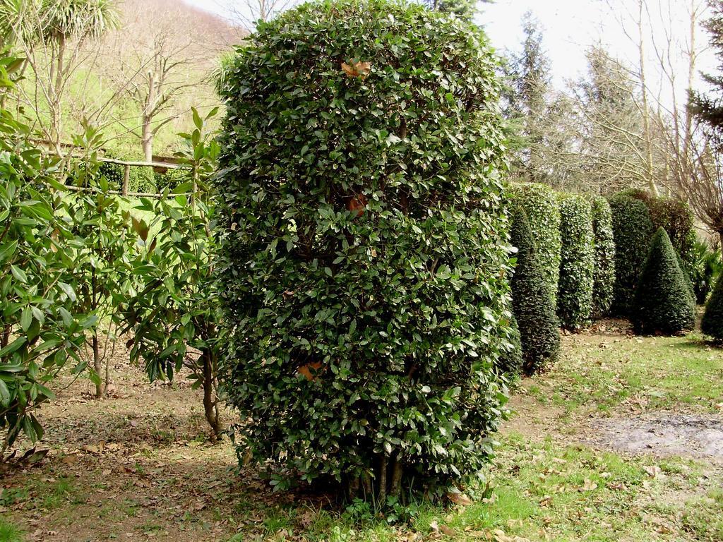 Tenuta Montelaura Forino Zewnętrze zdjęcie