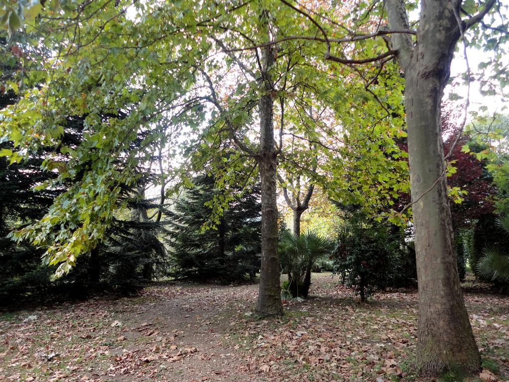 Tenuta Montelaura Forino Zewnętrze zdjęcie