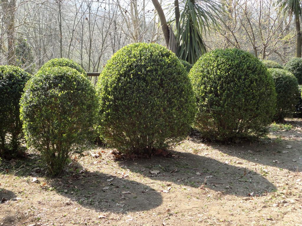 Tenuta Montelaura Forino Zewnętrze zdjęcie