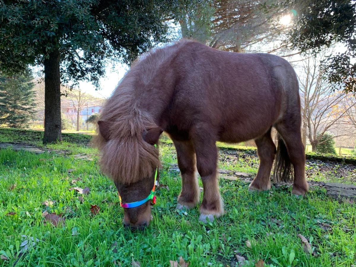 Tenuta Montelaura Forino Zewnętrze zdjęcie